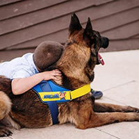 Julius K9 Paw Patrol Dog Harness - Pet Shop Luna
