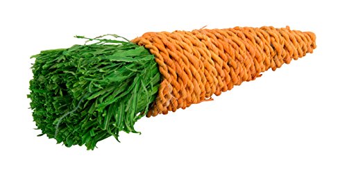 Aime Big Carrot Toy for Small Animals - Pet Shop Luna