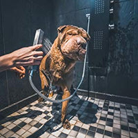 Vetocanis - Shampoo a Pelo Corto o a RAS per Cani, 0% di parabeni, 0% di Silicone, Formato 300 ml - Pet Shop Luna