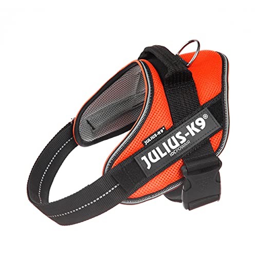 Julius k9 IDC and Powair harnesses for dogs / pettorina per cani - Pet Shop Luna