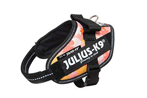 Julius k9 IDC and Powair harnesses for dogs / pettorina per cani - Pet Shop Luna