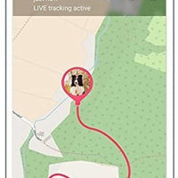 Localizzatore GPS Tractive per cani e gatti, impermeabile, adatto per ogni collare - Pet Shop Luna