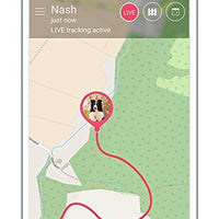 Tractive Special Edition GPS Tracking Device with Crystals from Swarovski, Pink - Pet Shop Luna