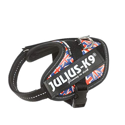 Julius k9 IDC and Powair harnesses for dogs / pettorina per cani - Pet Shop Luna