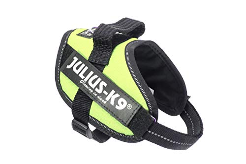 Julius k9 IDC and Powair harnesses for dogs / pettorina per cani - Pet Shop Luna