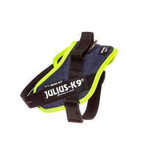 Julius-K9, 16IDC-FARNE-M, IDC Powerharness, dog harness, Size: Mini, Jeans with neon edge - Pet Shop Luna