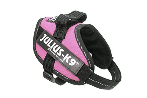 Julius k9 IDC and Powair harnesses for dogs / pettorina per cani - Pet Shop Luna