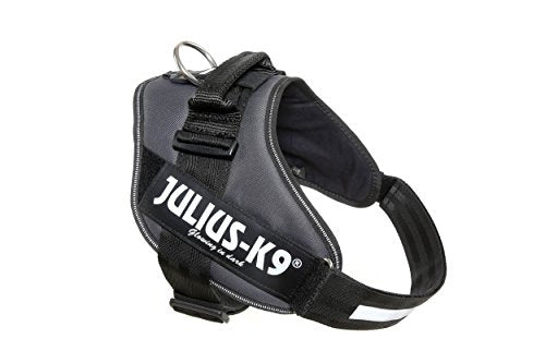 Julius-K9, 16IDC-ANT-2, IDC Powerharness, Dog Harness, Size: 2, Anthracite - Pet Shop Luna