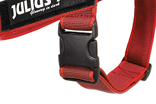 Julius-K9, 16IDC-0-R-2015, IDC Color & Gray Belt Harness for Dogs, Size: 0, Red-Gray - Pet Shop Luna