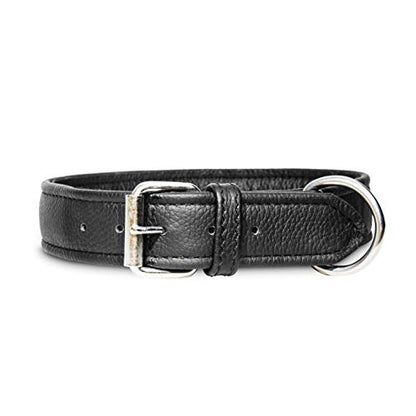 Julius-K9 40082-50 Eco Leather Collar with Adjustable Handle - Pet Shop Luna