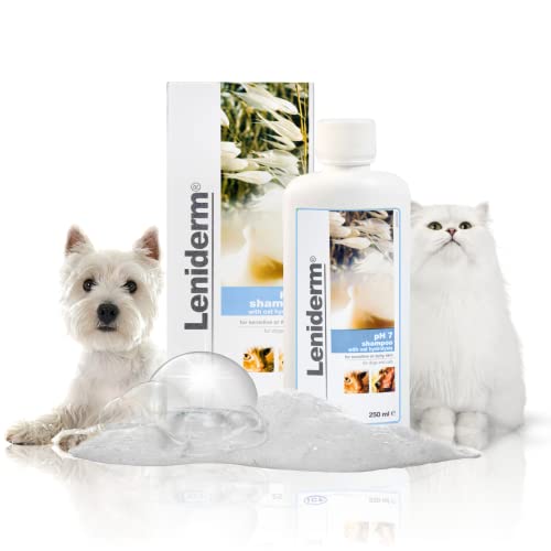 ICF leniderm-shampoo 250 ml Vet - Pet Shop Luna