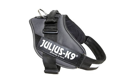 Julius-K9, 16IDC-ANT-2, IDC Powerharness, Dog Harness, Size: 2, Anthracite - Pet Shop Luna