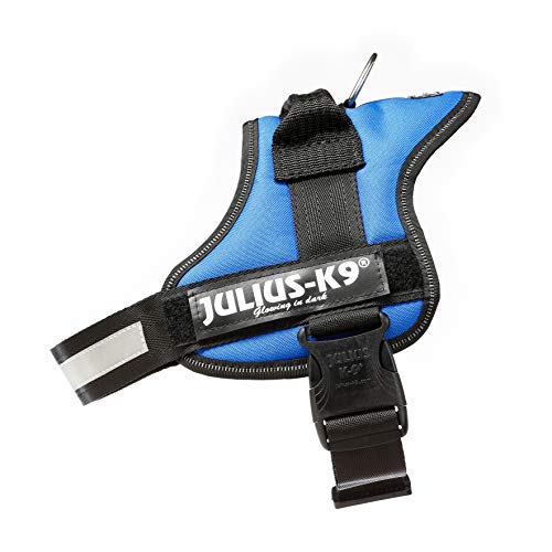 Julius-K9 Powerharness, blue, Size 0 - Pet Shop Luna