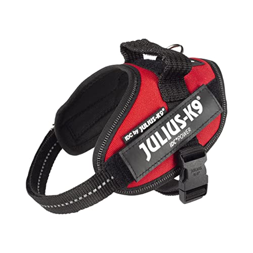 IDC Powerharness - Pet Shop Luna