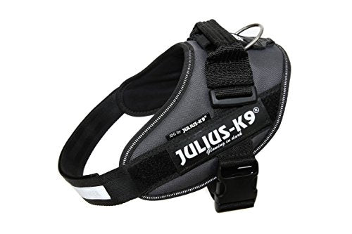 Julius k9 IDC and Powair harnesses for dogs / pettorina per cani - Pet Shop Luna