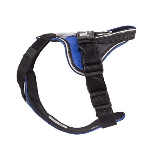 IDC Longwalk Y-Harness, Blue-Gray, Size: XS - Pet Shop Luna