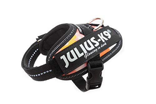 Julius k9 IDC and Powair harnesses for dogs / pettorina per cani - Pet Shop Luna