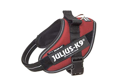 Julius k9 IDC and Powair harnesses for dogs / pettorina per cani - Pet Shop Luna