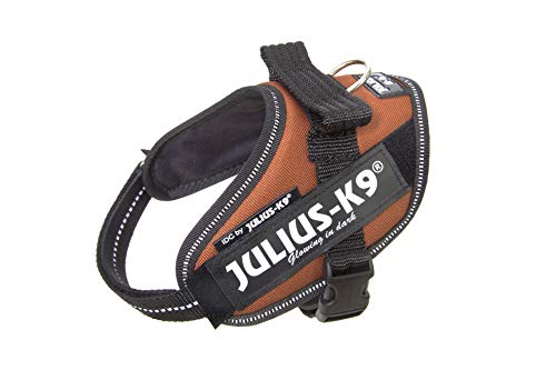 IDC Powerharness - Pet Shop Luna