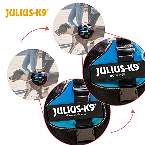 Julius-K9 Powerharness, blue, Size 0 - Pet Shop Luna