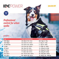 Julius-K9, 16IDC-PNF-B1, IDC Powerharness, dog harness, Size: Baby 1, Pink with flowers - Pet Shop Luna
