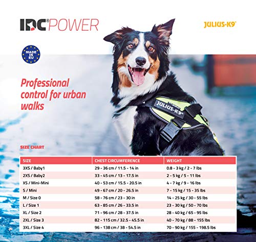 Julius-K9 | IDC-Powerharness | Size: 4 | Blue - Pet Shop Luna