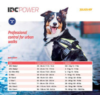 Julius-K9, 16IDC-PNF-2, IDC Powerharness, dog harness, Size: 2, Pink with flowers - Pet Shop Luna
