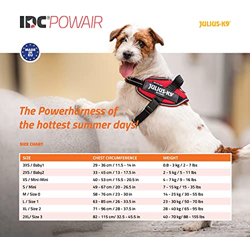 Julius k9 IDC and Powair harnesses for dogs / pettorina per cani - Pet Shop Luna