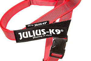 Julius-K9, 16IDC-M-R-2015, IDC Color & Gray Belt Harness for Dogs, Size: Mini, Red-Gray - Pet Shop Luna