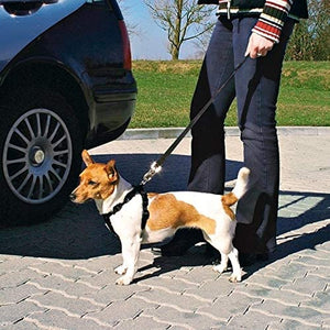Trixie - Arnés con Cinturón de Seguridad - 935 - Talla S - Pet Shop Luna