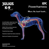Julius-K9, 16IDC-JEANS-1, IDC Powerharness, dog harness, Size: 1, Jeans - Pet Shop Luna