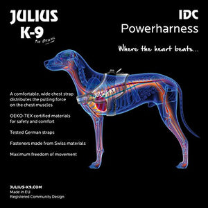 Julius-K9, 16IDC-PNF-MM, IDC Powerharness, dog harness, Size: Mini-Mini, Pink with flowers - Pet Shop Luna