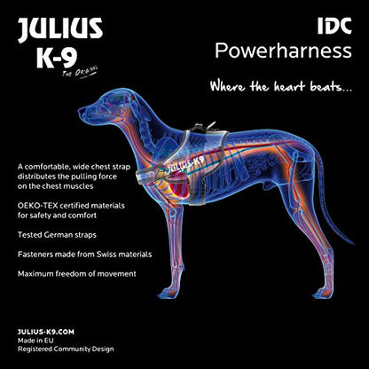 Julius-K9, 16IDC-PNF-1, IDC Powerharness, dog harness, Size: 1, Pink with flowers - Pet Shop Luna