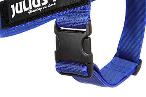 Julius-K9, 16IDC-0-B-2015, IDC Color & Gray Belt Harness for Dogs, Size: 0, Blue-Gray - Pet Shop Luna