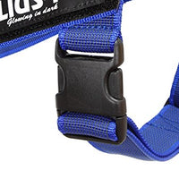 Julius-K9, 16IDC-0-B-2015, IDC Color & Gray Belt Harness for Dogs, Size: 0, Blue-Gray - Pet Shop Luna