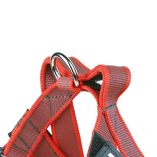 Julius-K9 16IDC-M-R-2015 IDC Color & Gray Belt Harness for Dogs, Size Mini, Red-Gray - Pet Shop Luna