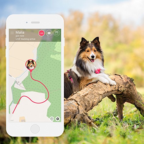 Tractive Special Edition GPS Tracking Device with Crystals from Swarovski, Pink - Pet Shop Luna