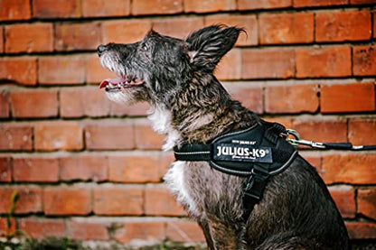 Julius-K9, 16IDC-B-0, IDC Powerharness, dog harness, Size: 0, Blue - Pet Shop Luna