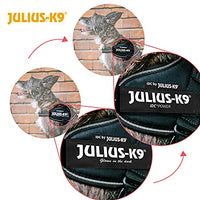Julius-K9, 16IDC-FARNE-MM, IDC Powerharness, dog harness, Size: Mini-Mini, Jeans with neon edge - Pet Shop Luna
