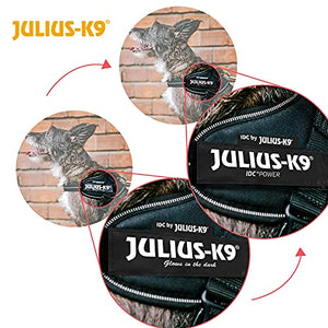 Julius-K9, 16IDC-PNF-MM, IDC Powerharness, dog harness, Size: Mini-Mini, Pink with flowers - Pet Shop Luna