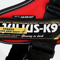 Julius-K9, 16IDC-FARNE-B1, IDC Powerharness, dog harness, Size: Baby 1, Jeans with neon edge - Pet Shop Luna