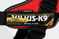 Julius-K9, 16IDC-FARNE-1, IDC Powerharness, dog harness, Size: 1, Jeans with neon edge - Pet Shop Luna
