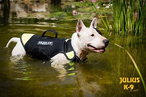 Julius K9 16SWM IDC S IDC Multifunctional Dog Vest 3 in 1 Small Bl Pet Shop Luna