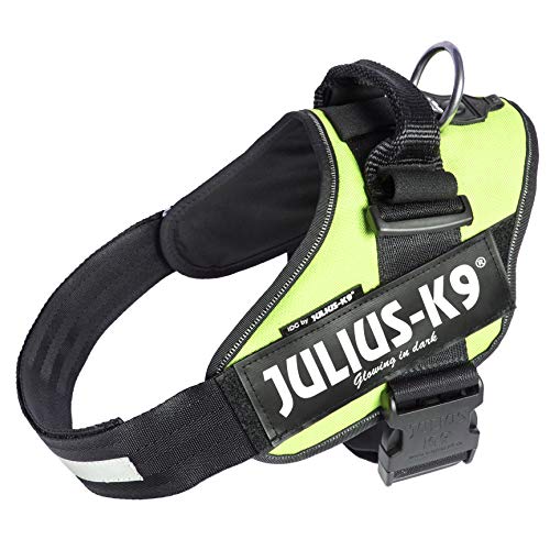 IDC Powerharness - Pet Shop Luna