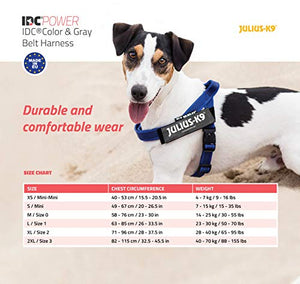 Julius-K9, 16IDC-0-B-2015, IDC Color & Gray Belt Harness for Dogs, Size: 0, Blue-Gray - Pet Shop Luna