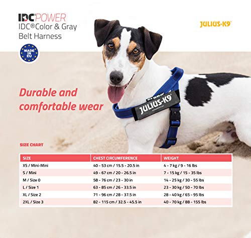 Julius-K9 16IDC-M-R-2015 IDC Color & Gray Belt Harness for Dogs, Size Mini, Red-Gray - Pet Shop Luna