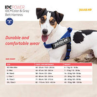 IDC Color & Gray Belt Harness - Pet Shop Luna