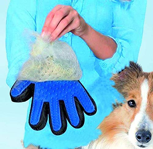 Balmul Grooming Deshedding Glove SOFT-TOUCH, 24×15.5cm, Record - Pet Shop Luna