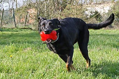 Anime Giocattolo Play Strong Ball per cane - Pet Shop Luna