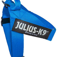 Julius K9 IDC - Imbracatura con chiusura a cintura, colore: Blu - Pet Shop Luna